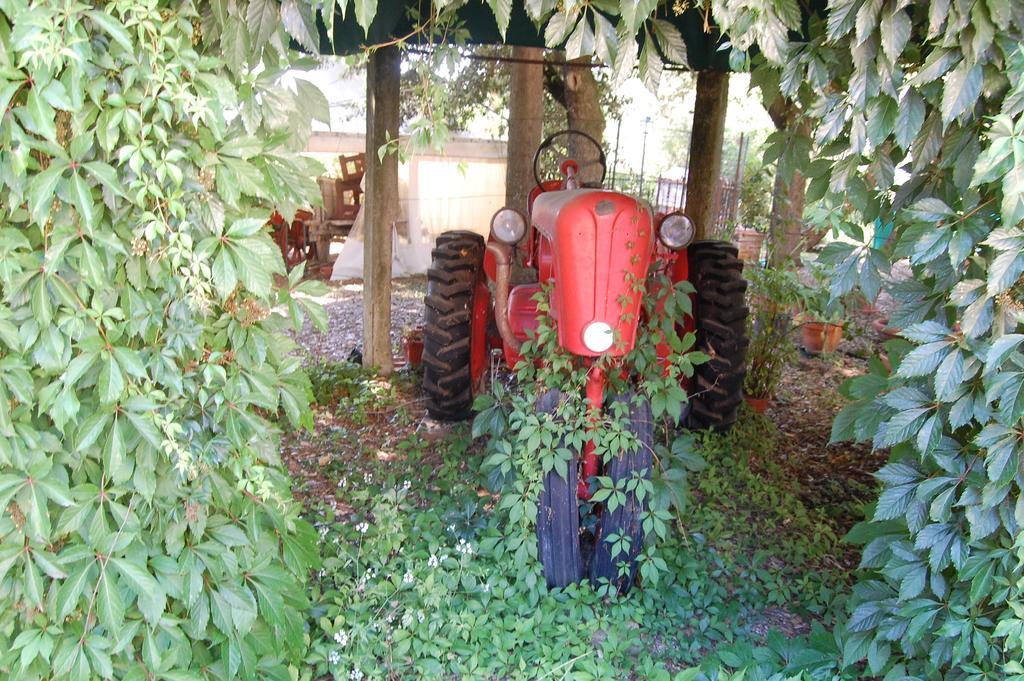 La Spiga D'Oro Konuk evi Pozzo  Dış mekan fotoğraf